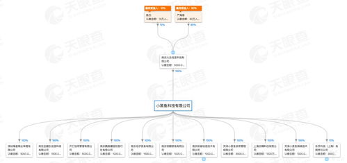 创速递 小黑鱼科技获5000万美金a 轮融资,旗下金融科技版图曝光